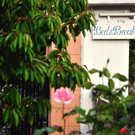 Casa Dolce Casa Ruvo Breakfast & Bed Ruvo di Puglia