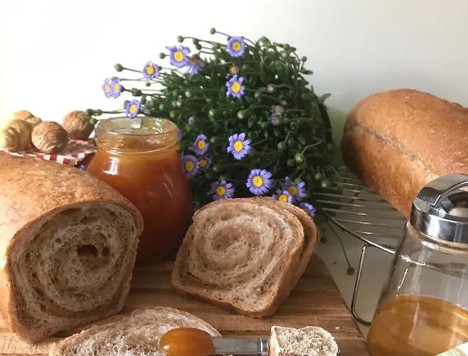 Casa Dolce Casa Ruvo Breakfast & Bed Gæstehus 4*