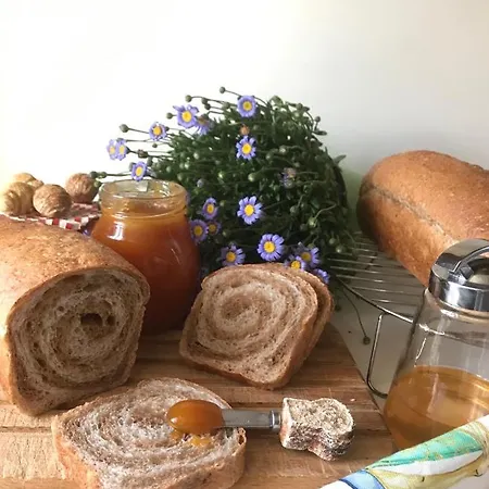 Casa Dolce Casa Ruvo Breakfast & Bed Гостевой дом 4*