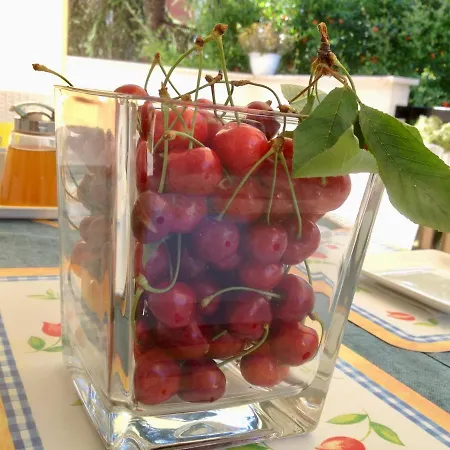 Casa Dolce Casa Ruvo Breakfast & Bed 4* Руво-ди-Пулья